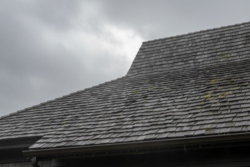 Cedar Shake Roof Replacement