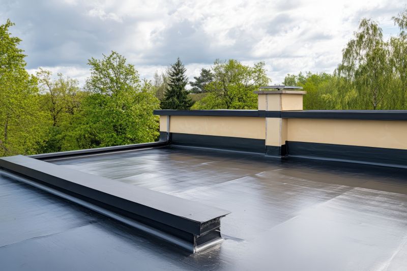 Commercial Roof Coating